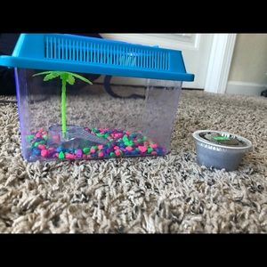 Turtle cage and turtle food